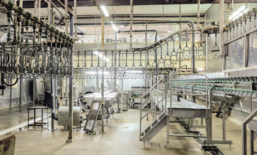 EQUIPMENT FOR GROWING AND SLAUGHTERING